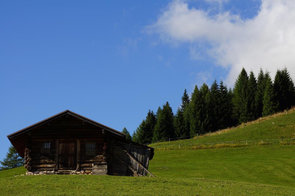 Hotel Colbricon Beauty & Relax San Martino Di Castrozza Dış mekan fotoğraf